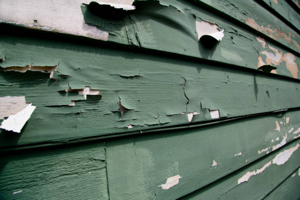 Best Construction Debris Removal  in Silver Grove, KY