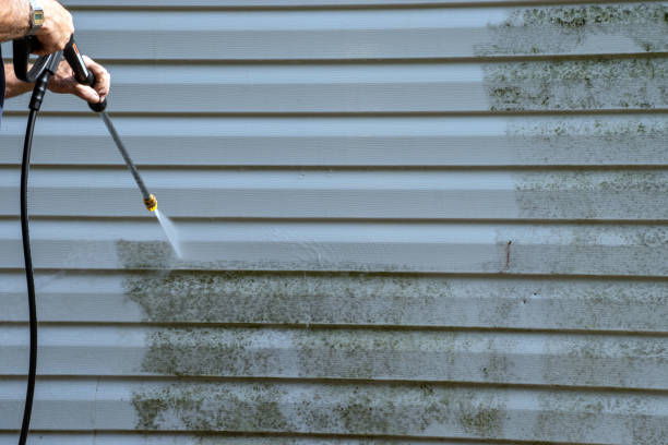 Best Foreclosure Cleanout  in Silver Grove, KY
