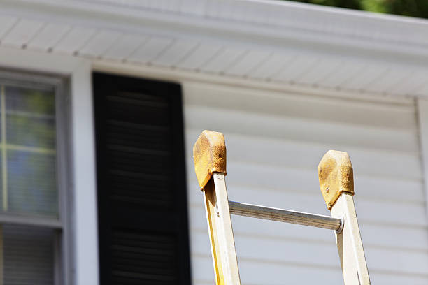 Best Yard Waste Removal  in Silver Grove, KY