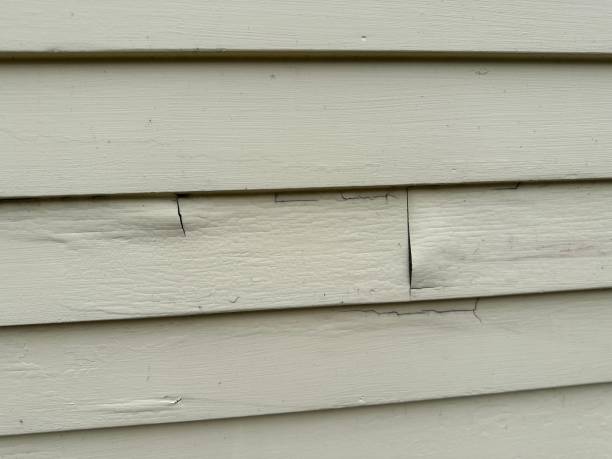 Reliable Silver Grove, KY Junk Removal Solutions